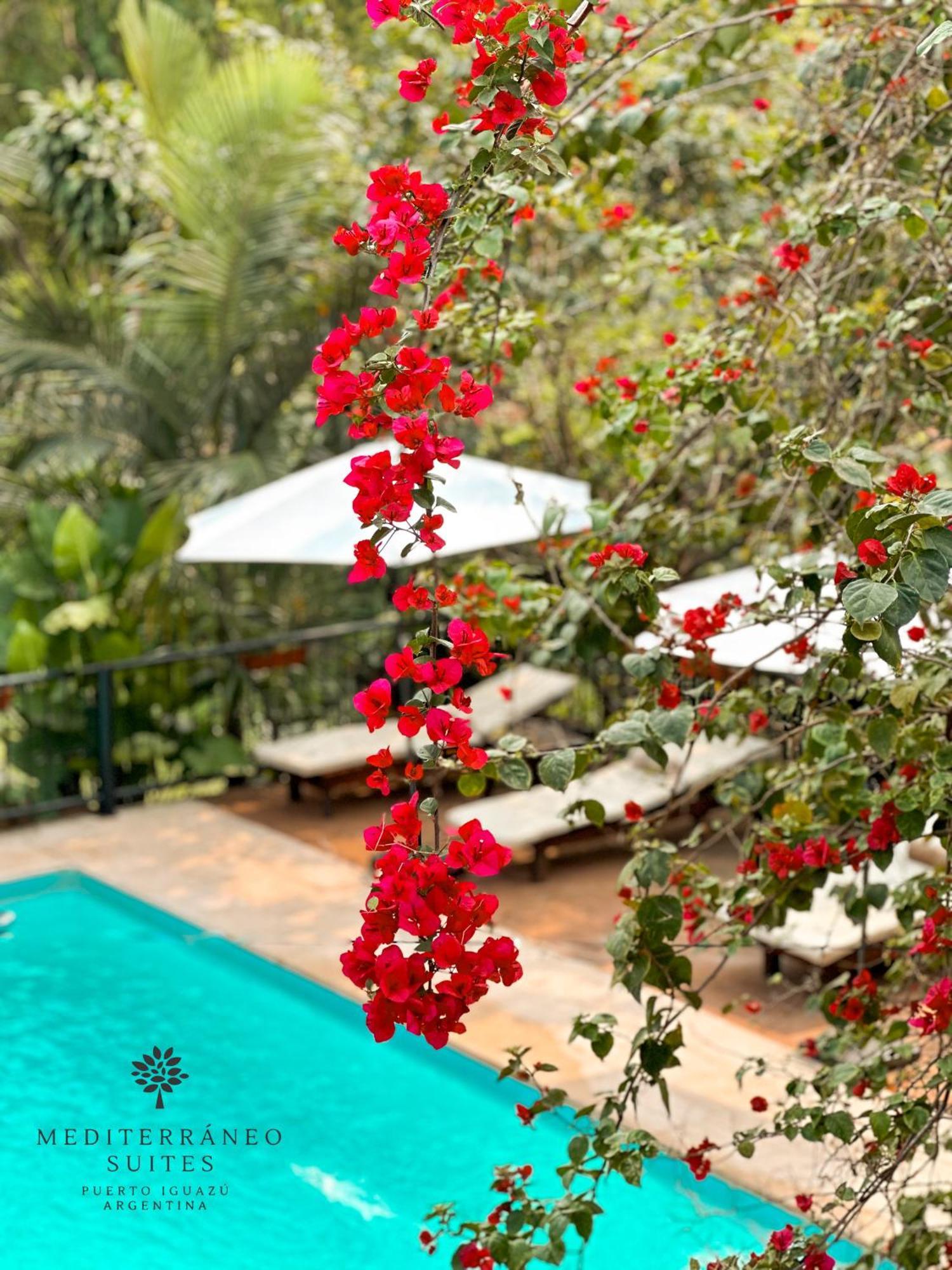 Mediterraneo Suites Пуэрто-Игуасу Экстерьер фото